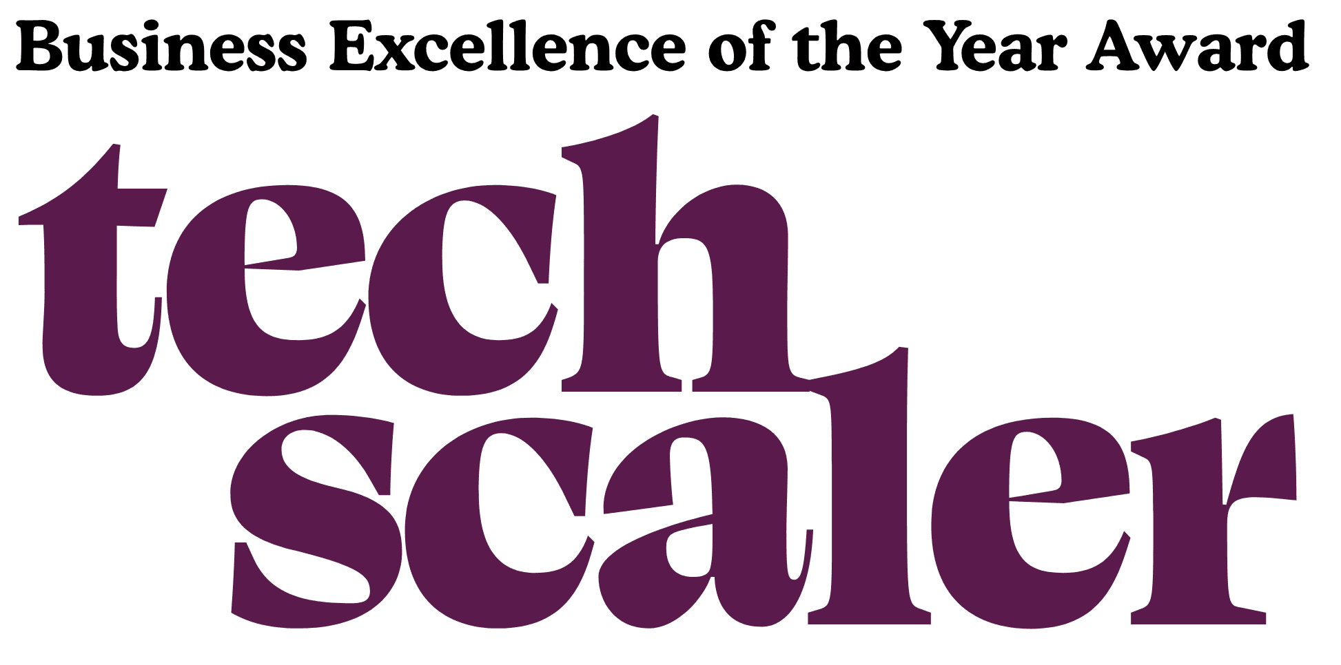 Business Excellence - Techscaler logo